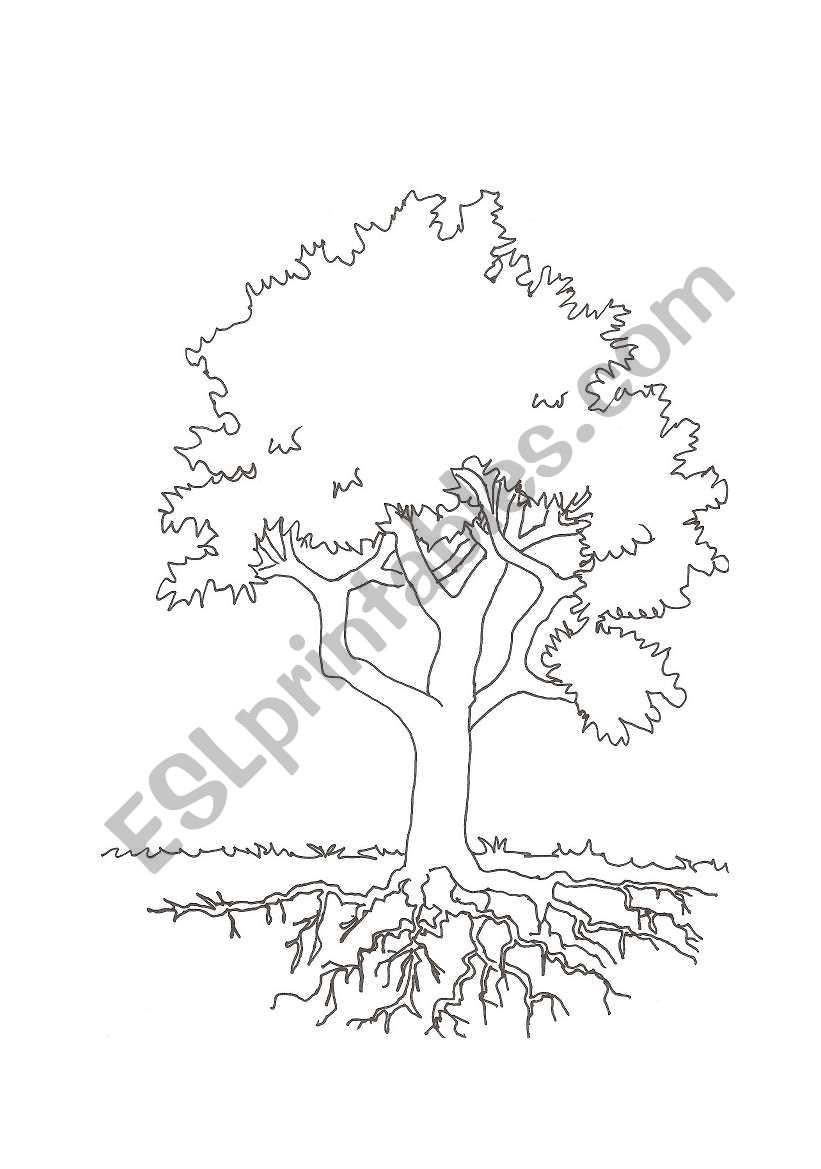 My family tree worksheet