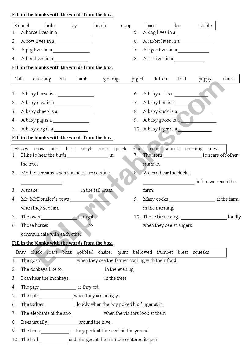 ANIMAL worksheet