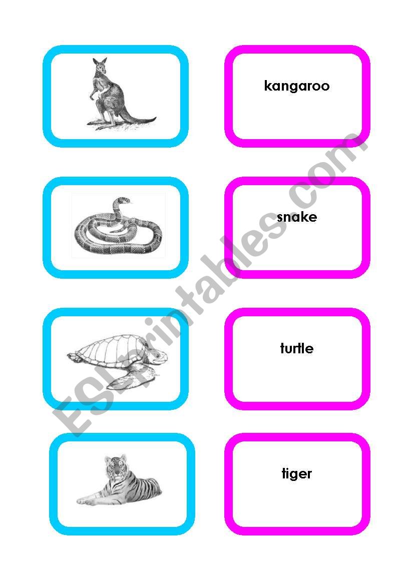 Animal cards (set 4/4) worksheet