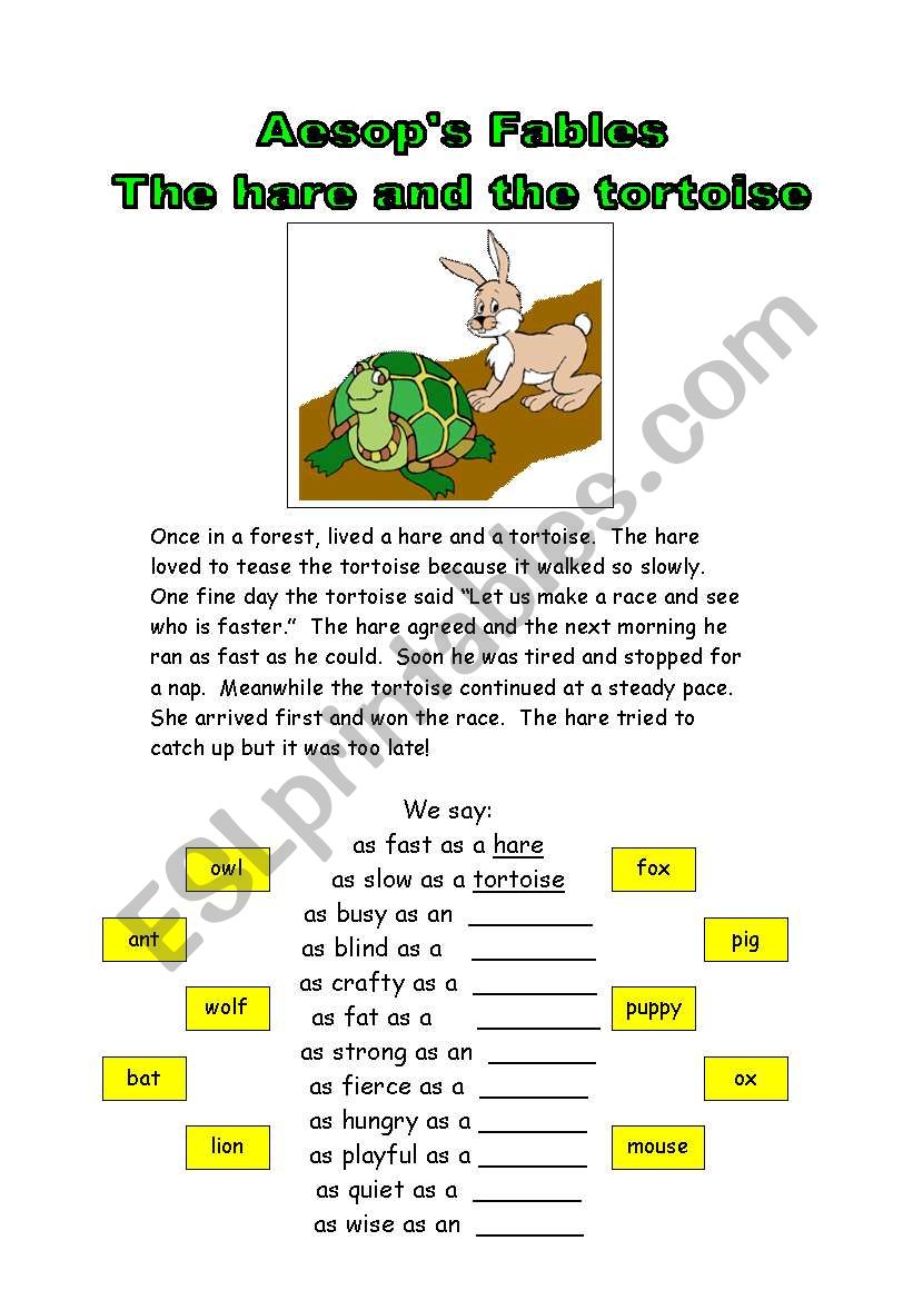 the hare and the tortoise ESL worksheet by fleur