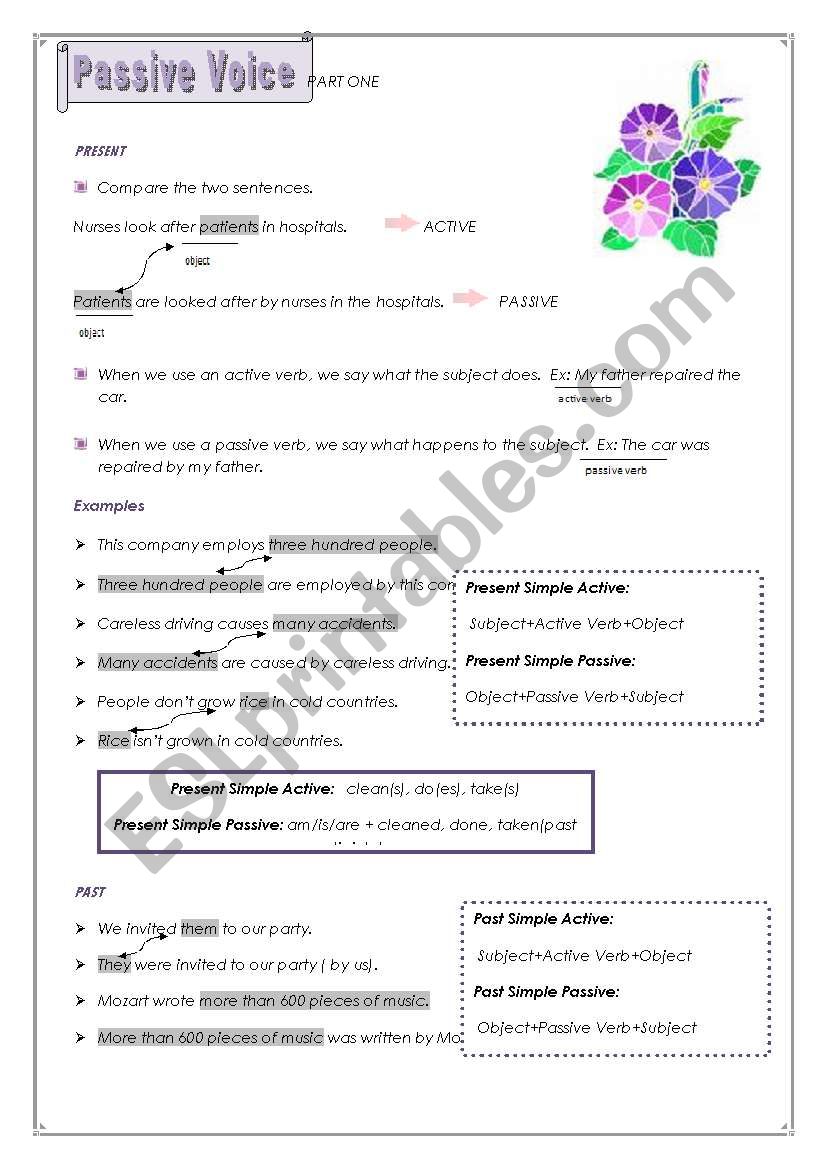 passive part 1 worksheet