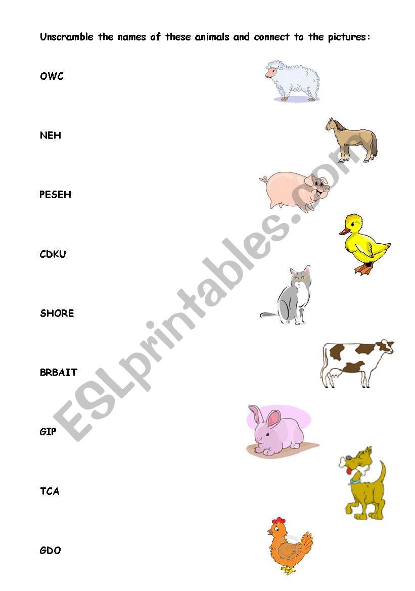 Animals worksheet