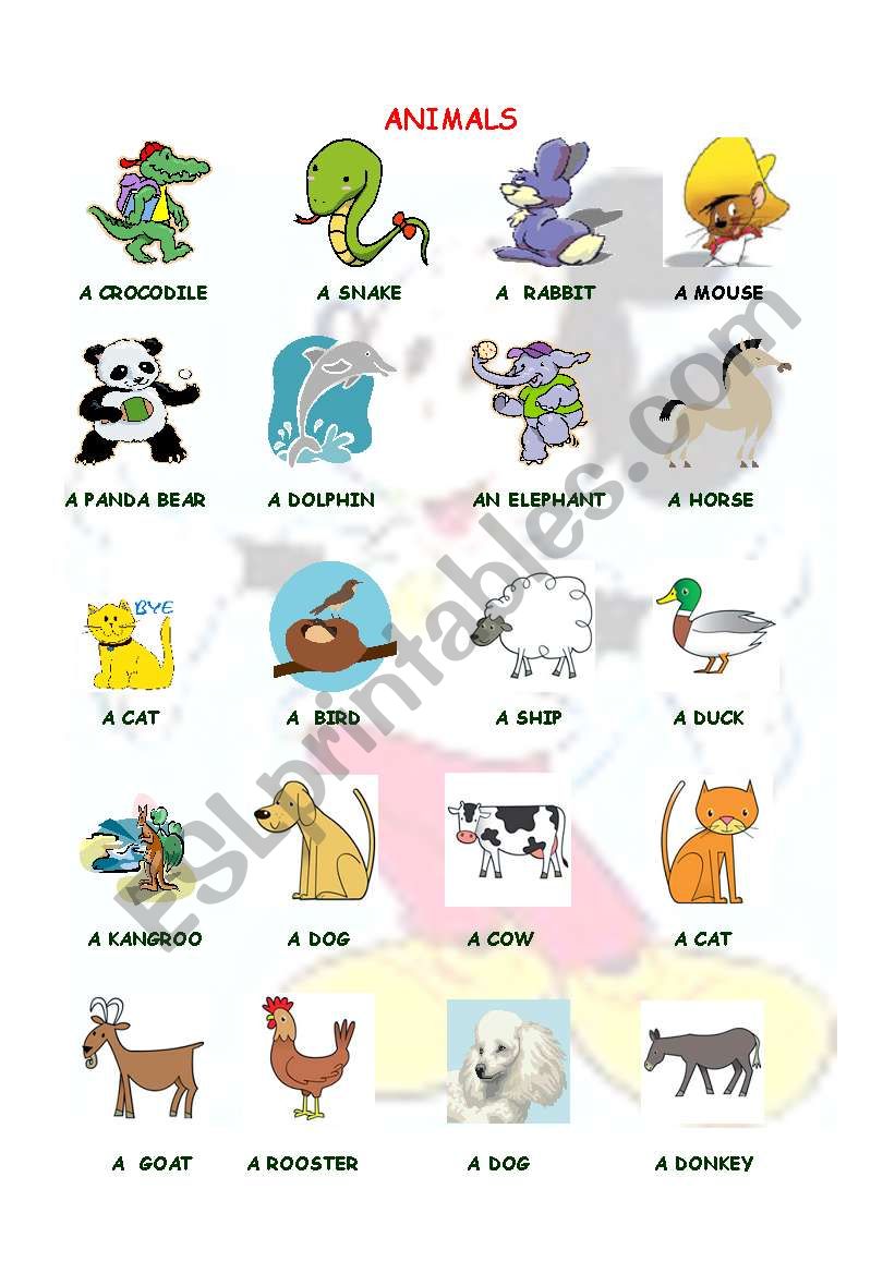 ANMALS worksheet