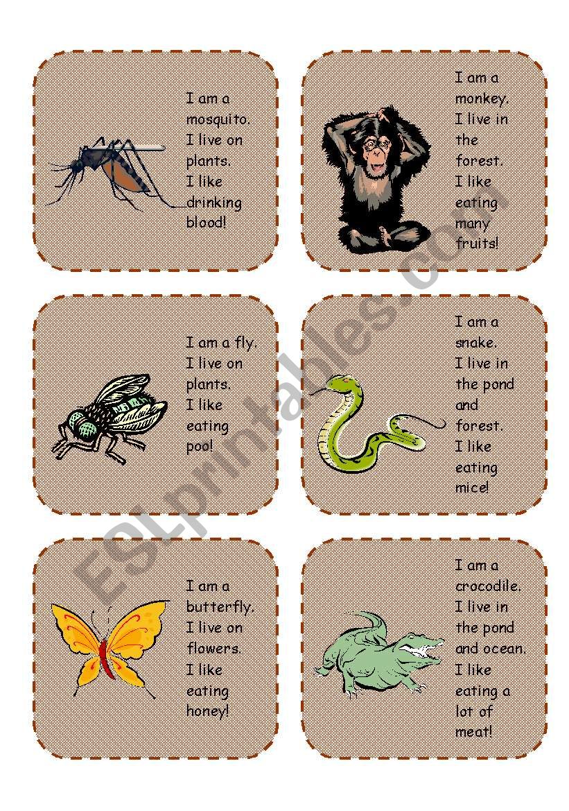 Animal cards activity worksheet
