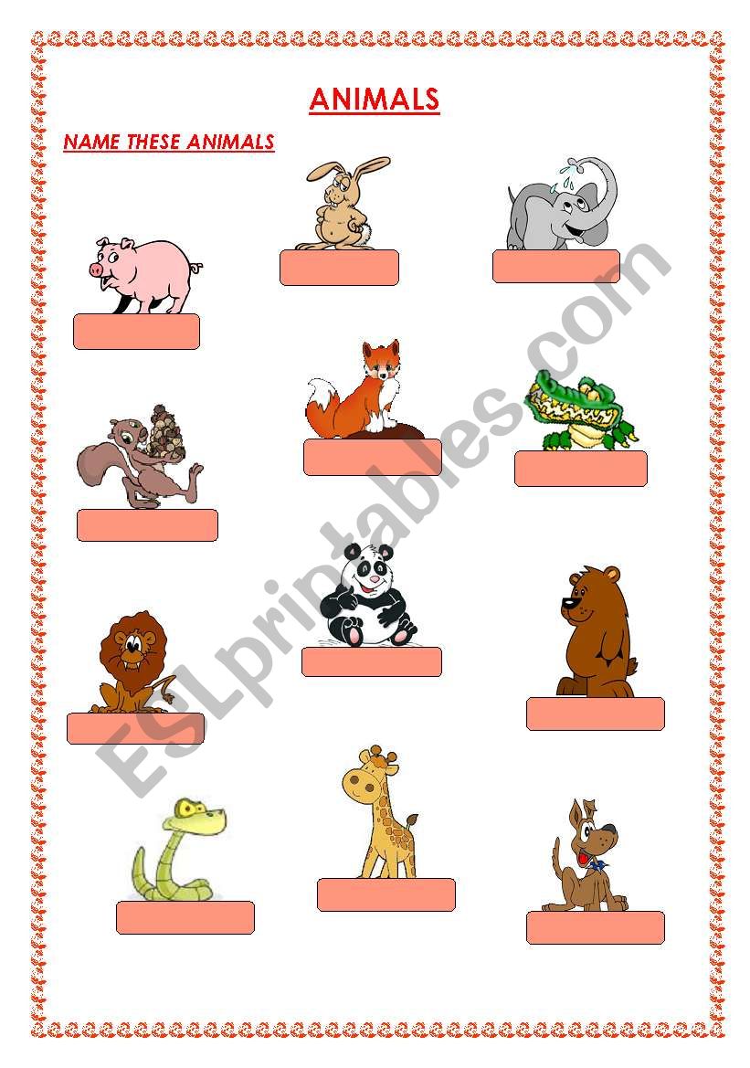 animals worksheet