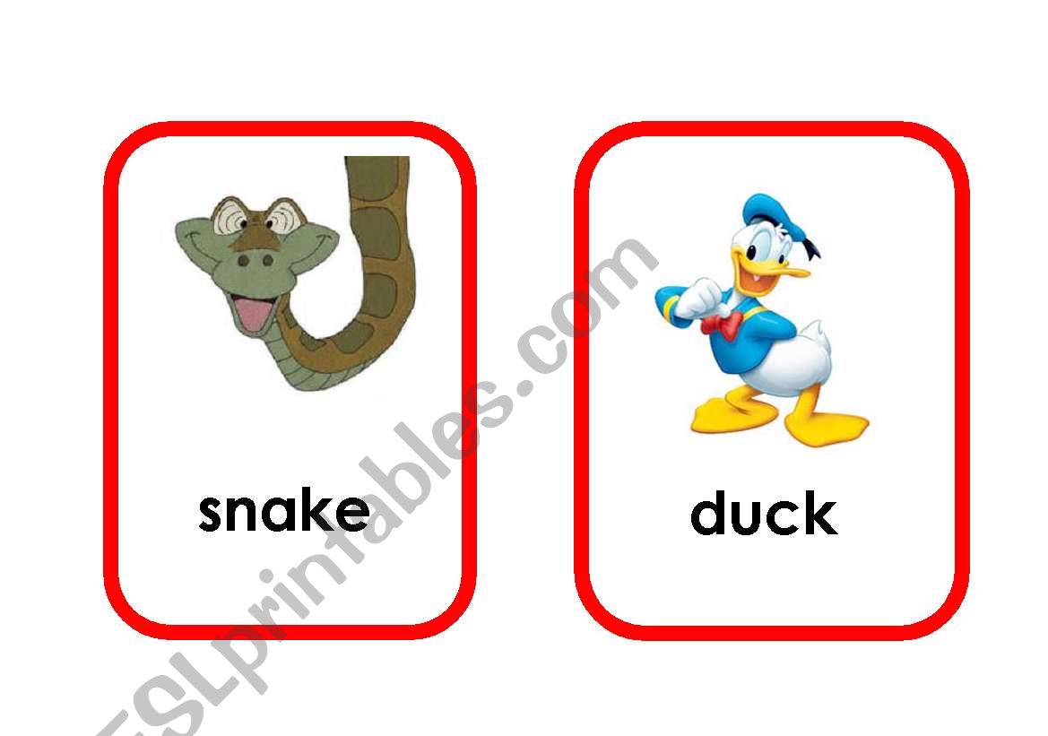 Cartoon animal flashcards (3/5)