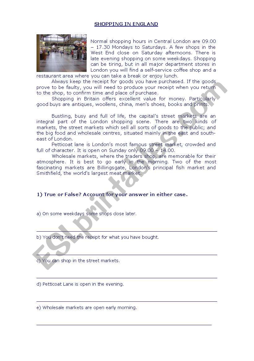 reading comprehension and vocabulary worksheet