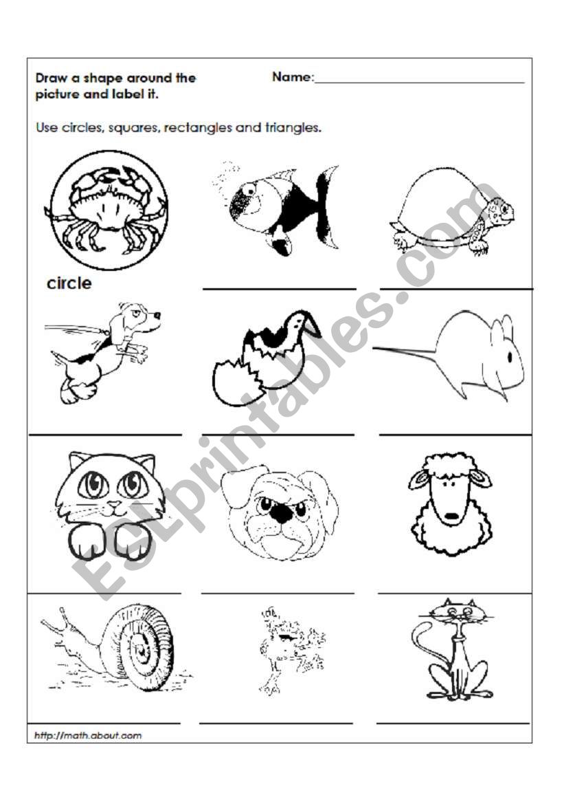 Learning Shapes worksheet