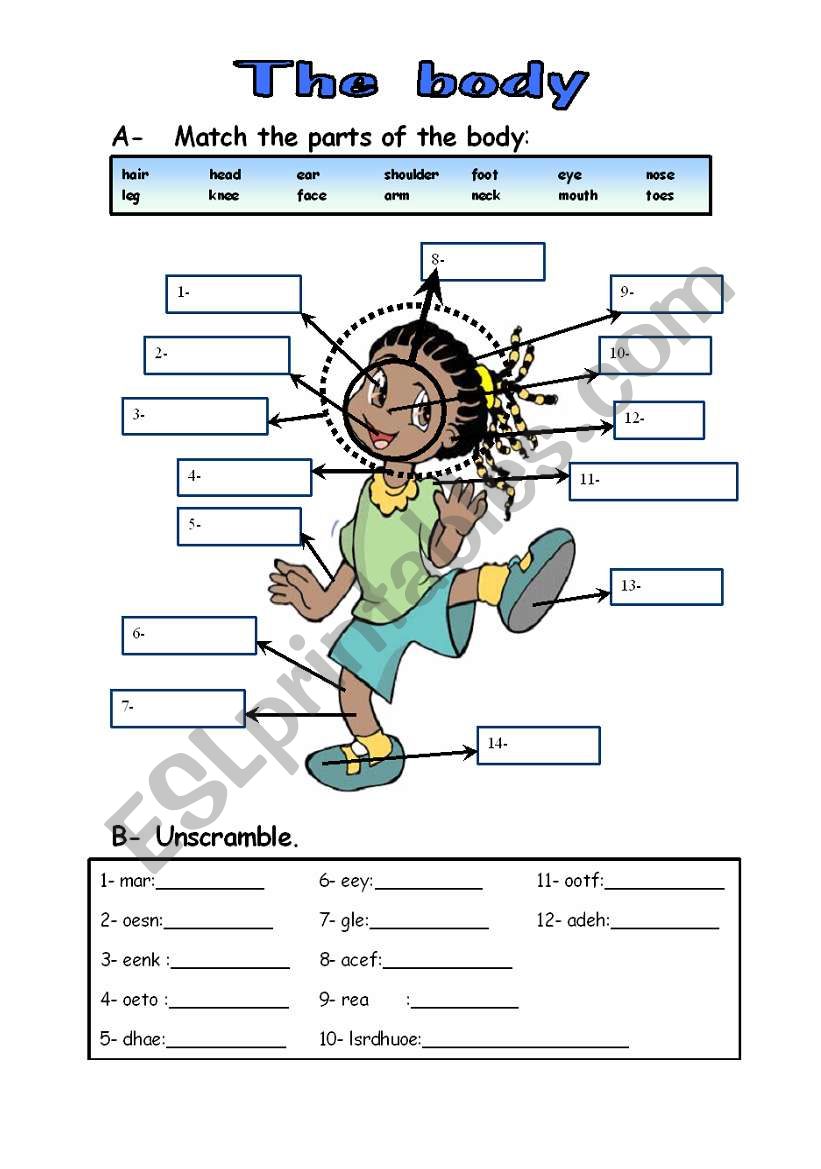 Body parts worksheet