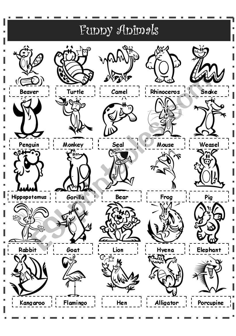 FUNNY ANIMALS PICTIONARY worksheet