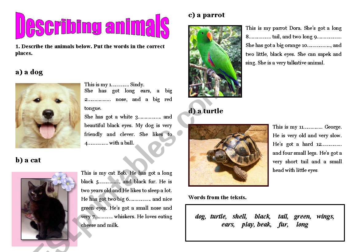 description of animals worksheet