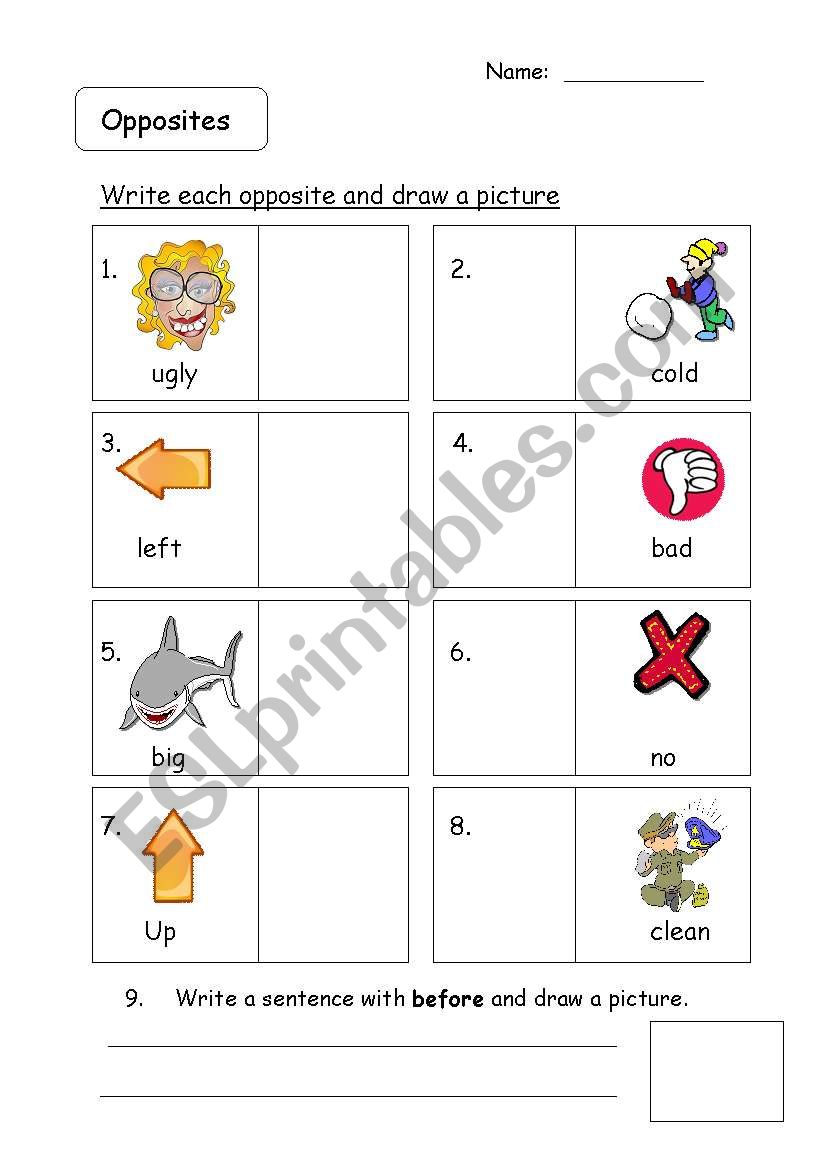 Opposites worksheet
