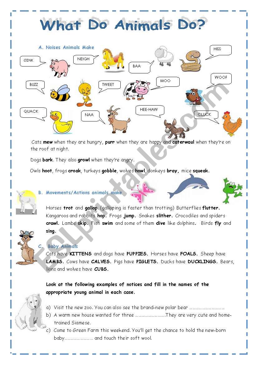 ANIMALS worksheet