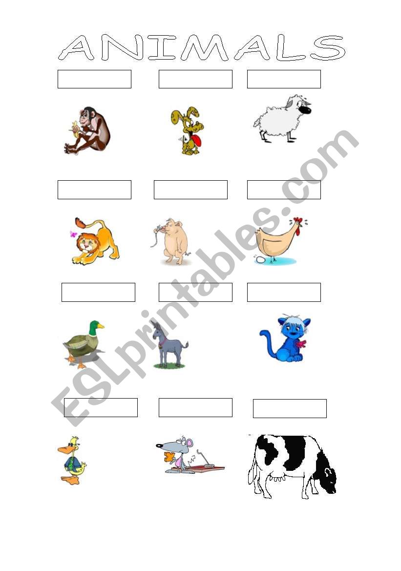 Animals worksheet