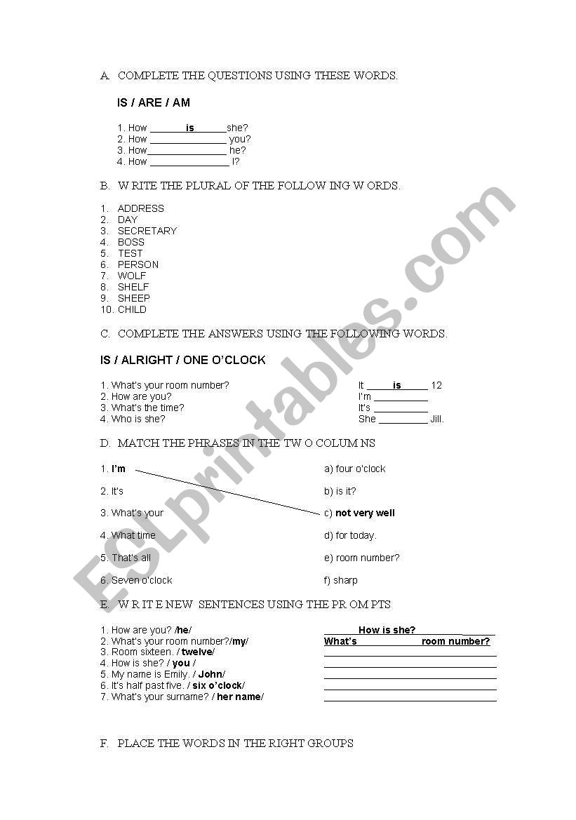 Present simple worksheet