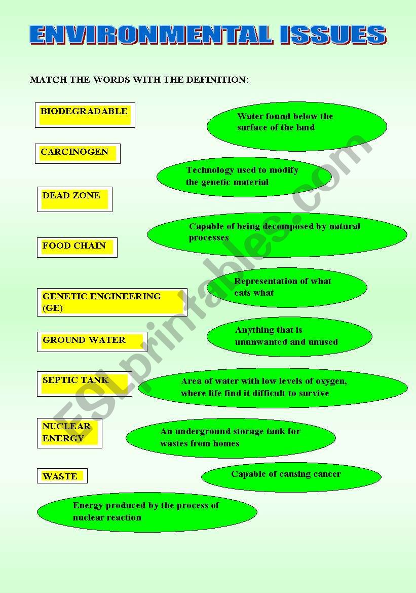 ENVIRONMENTAL ISSUES worksheet