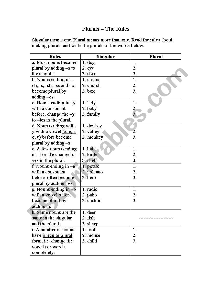 Plurals the rules worksheet