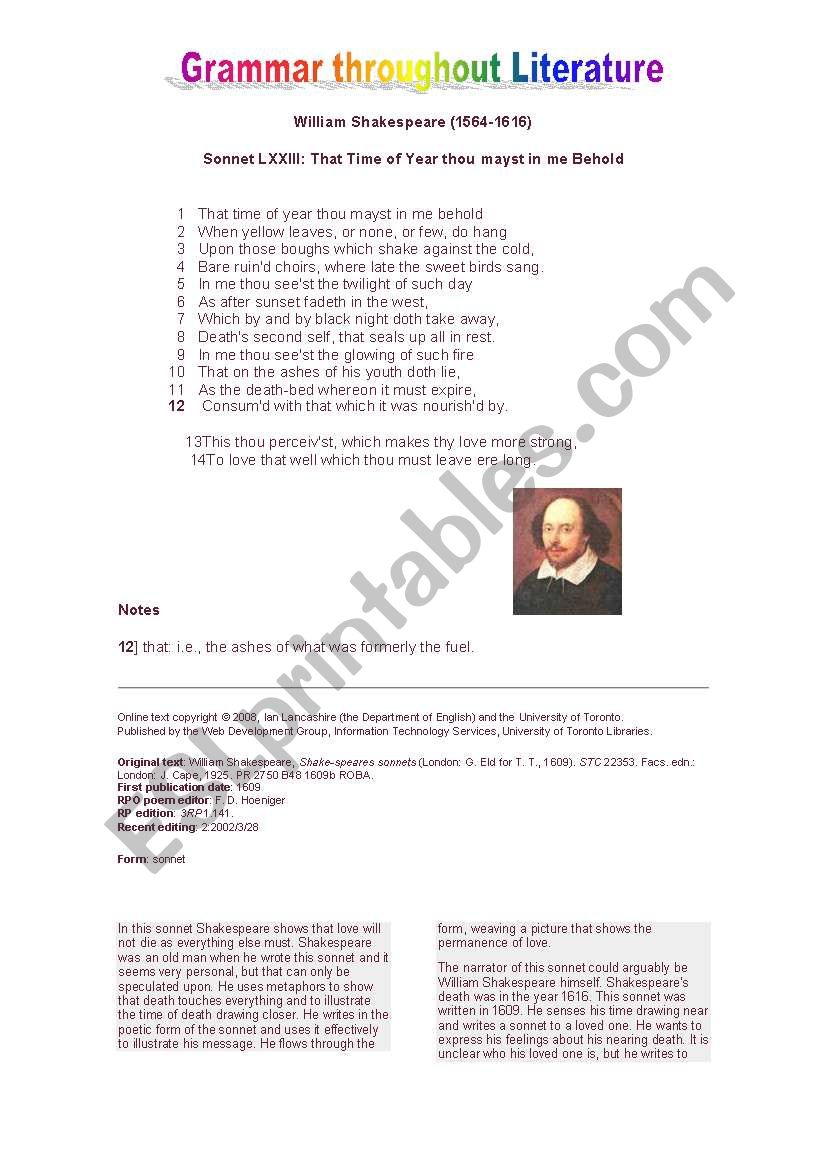 Grammar using Literature worksheet