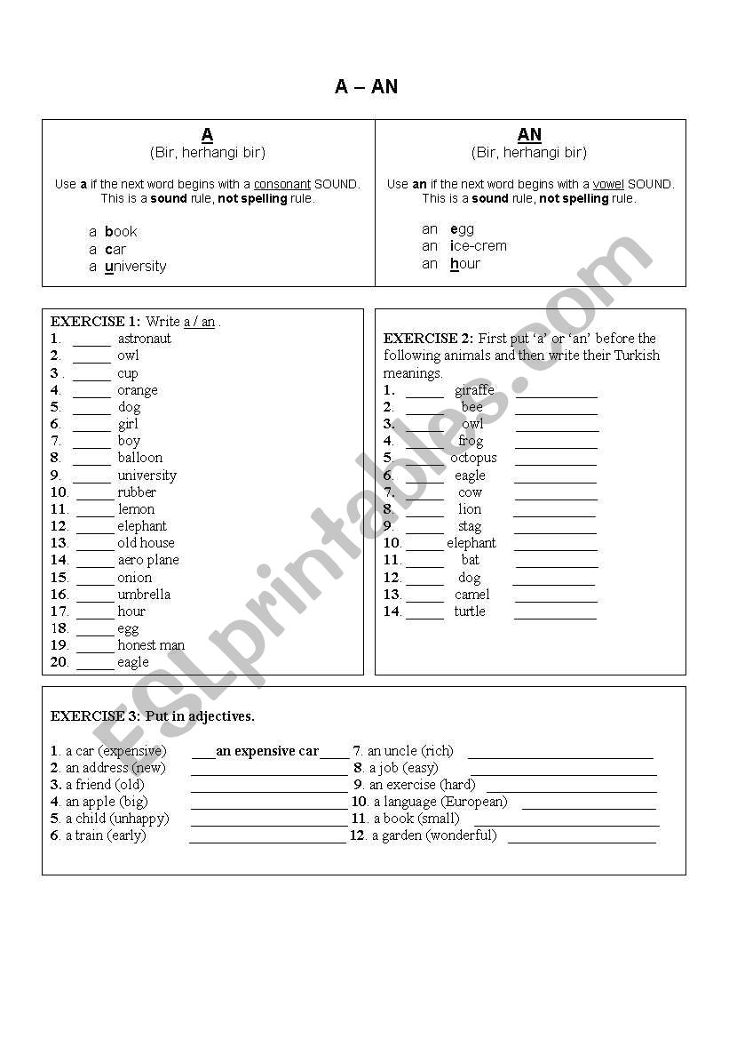 articles worksheet