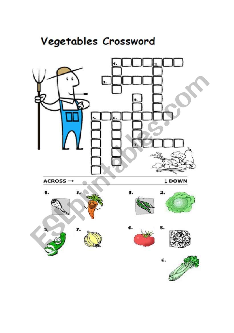 vegetables worksheet