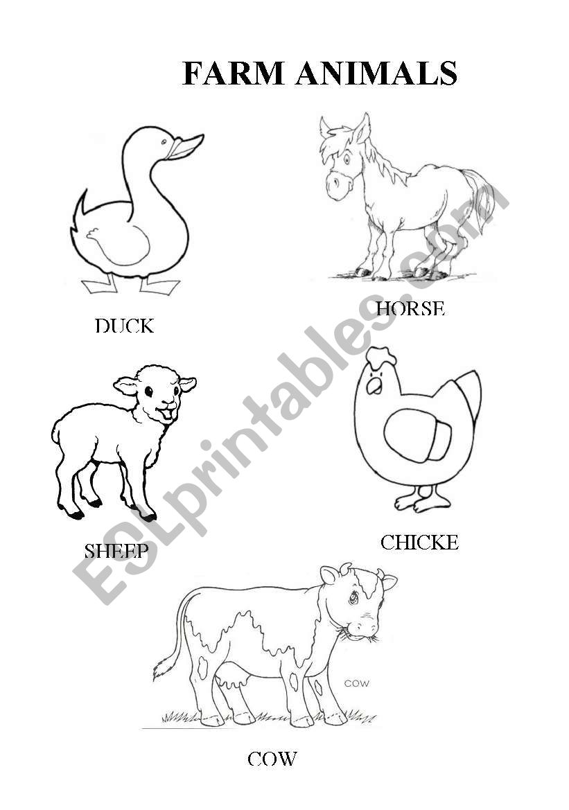 Vocabulary about farm animals worksheet