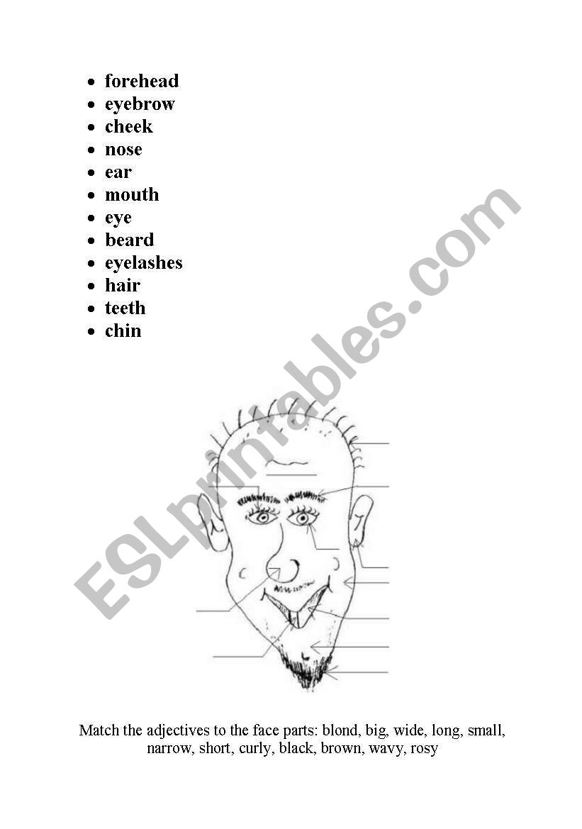Match the face parts  worksheet