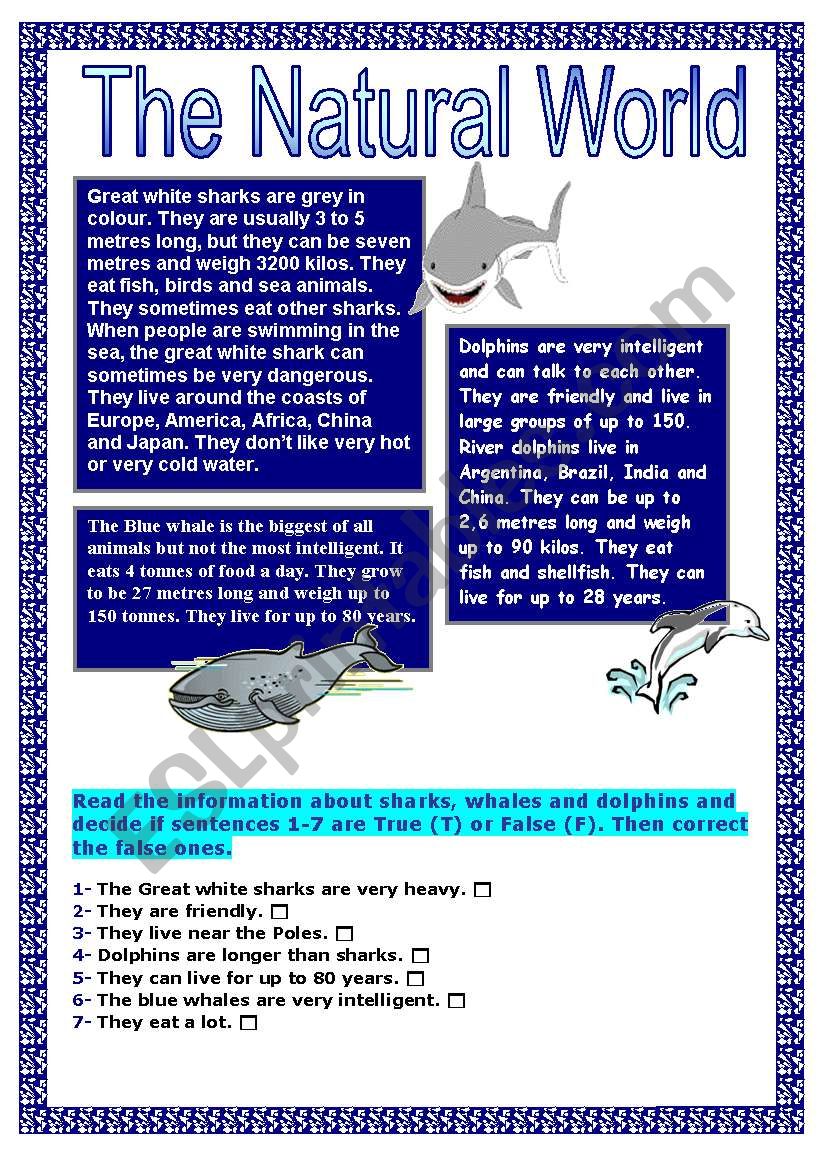 The natural world worksheet