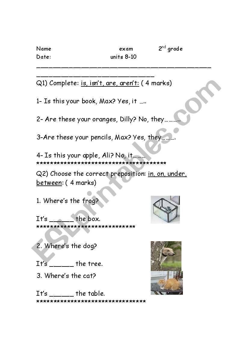 a worksheet that contains different exercises(to be- whats-whos-wheres-prepositions)