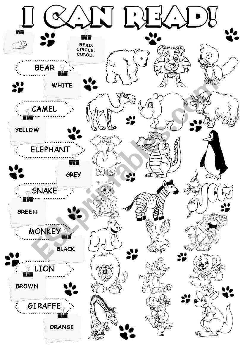 I can read - wild animals (2/5)