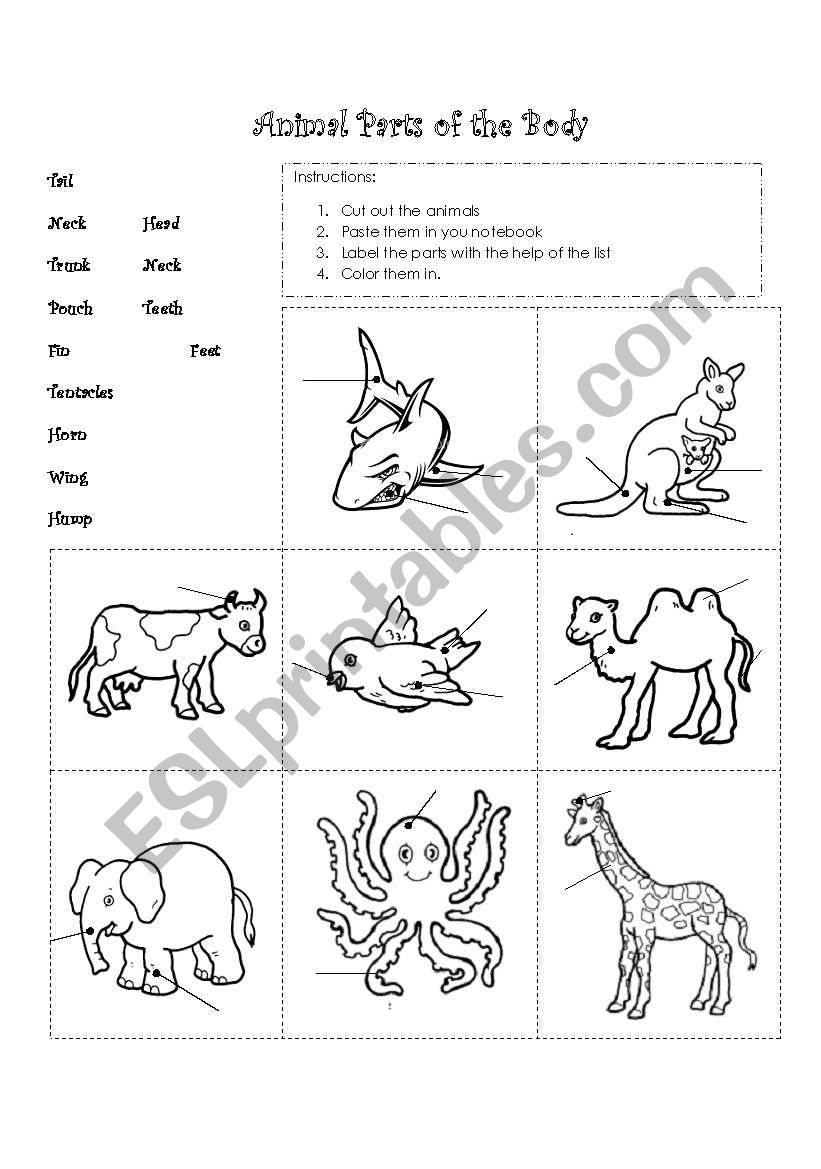 Animal parts of the body - ESL worksheet by gaby_mn