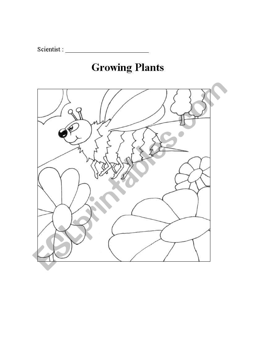 Growing Plants - Observation booklet