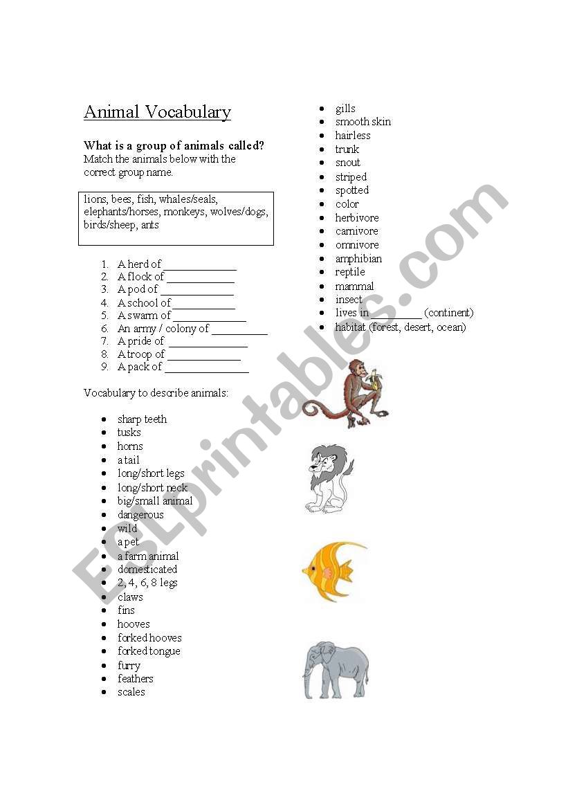 Animal Vocabulary worksheet