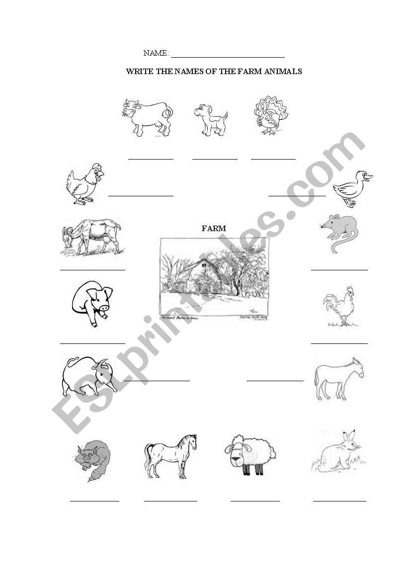 Farm animals names to write worksheet