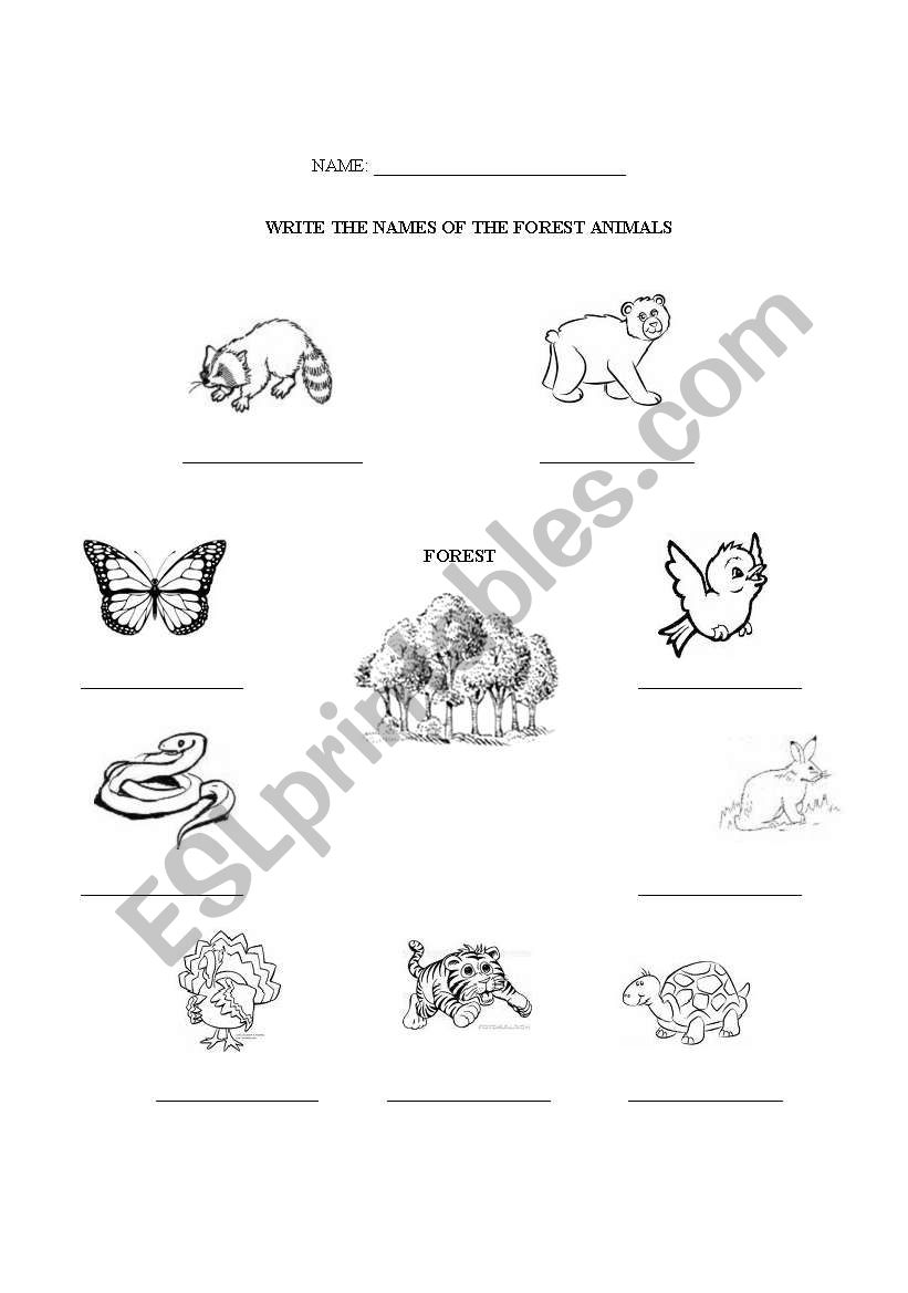 Forest animals names to write worksheet