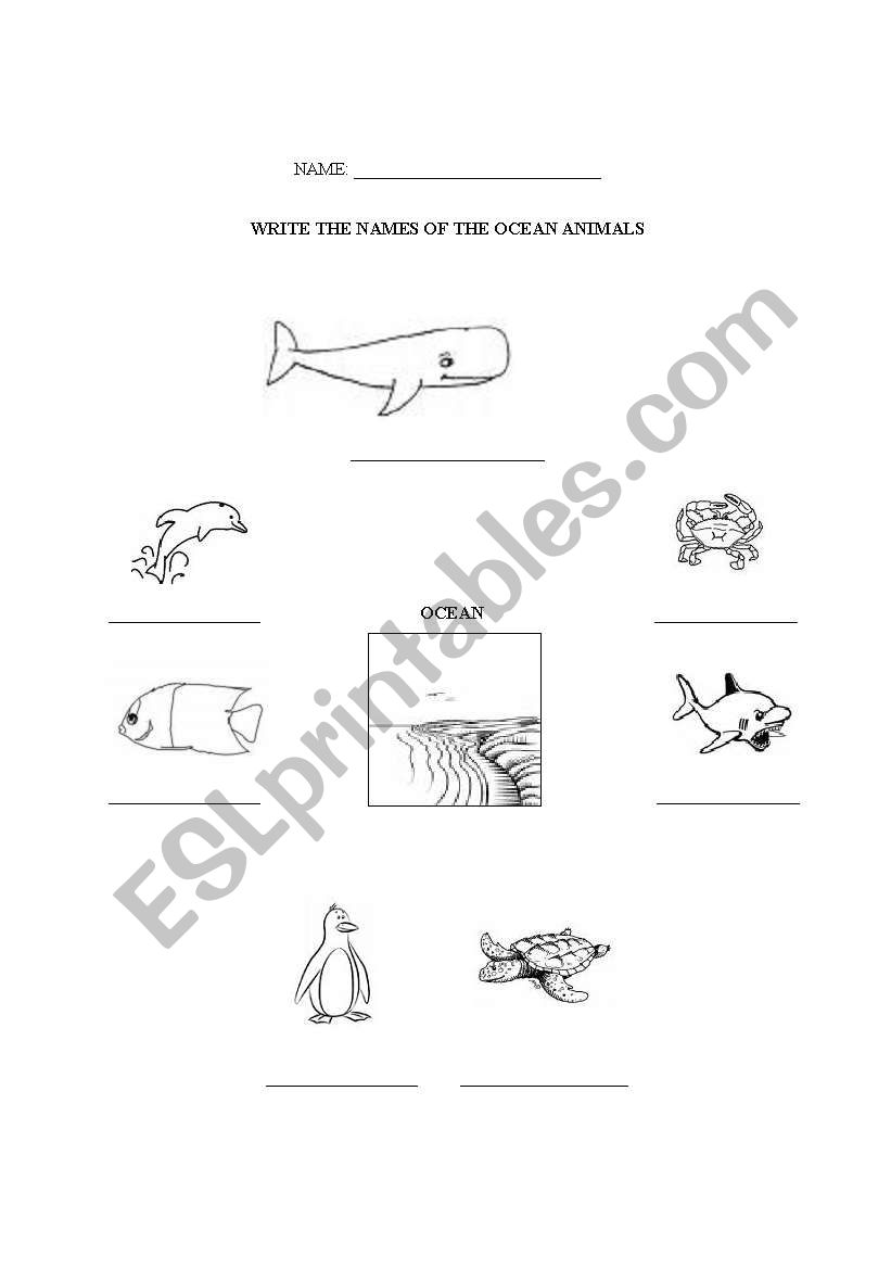 Ocean animal names to write worksheet