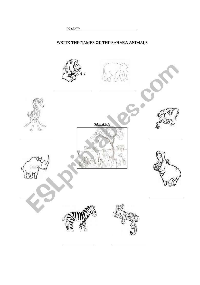 Sahara animals names to write worksheet