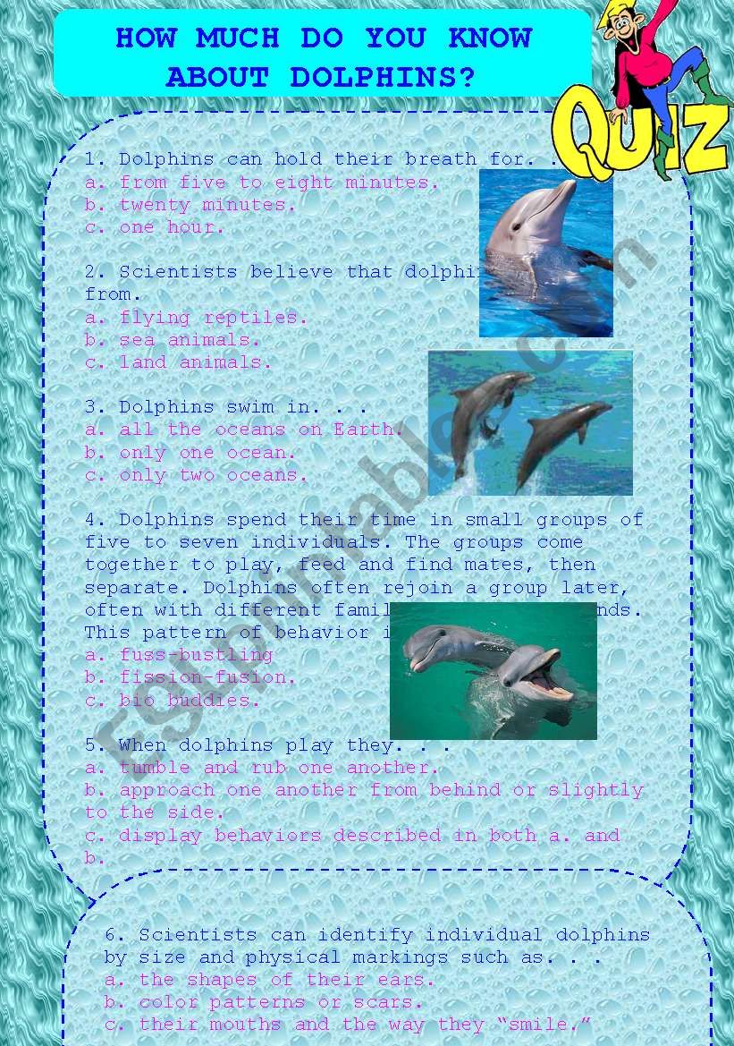 Dolphins project part 3 (QUIZ) + answers