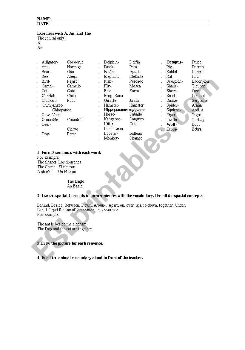 Words worksheet