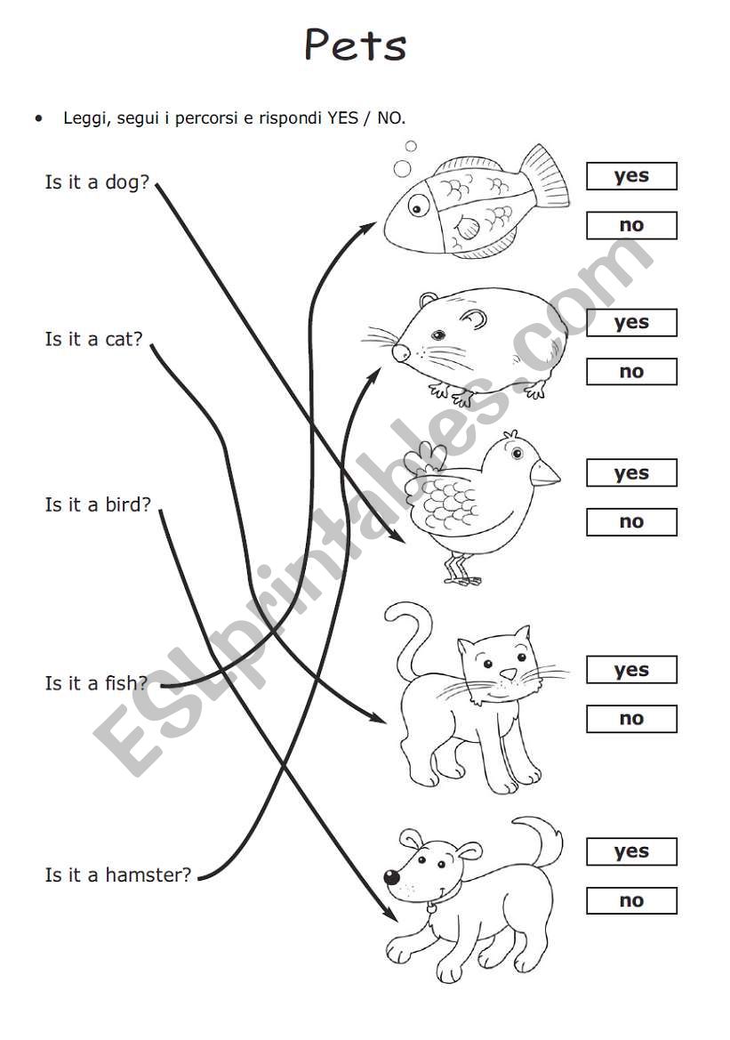 animal worksheet