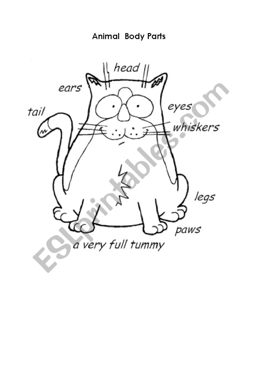 animal body parts worksheet