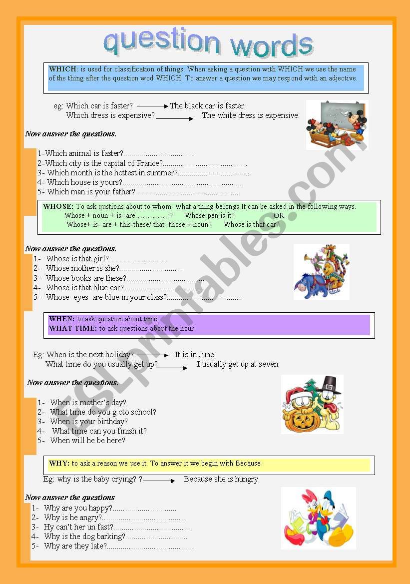 Question words worksheet