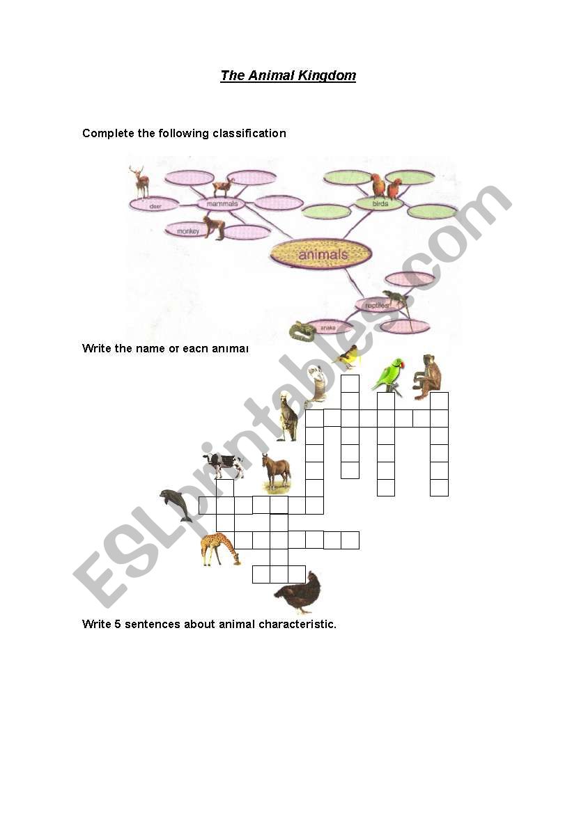crossword about animals worksheet