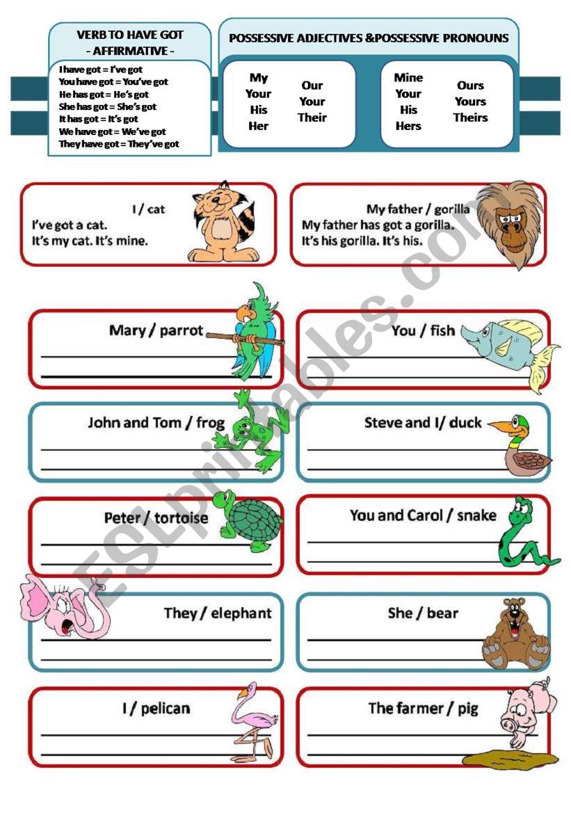 VERB TO HAVE GOT - AFFIRMATIVE FORM