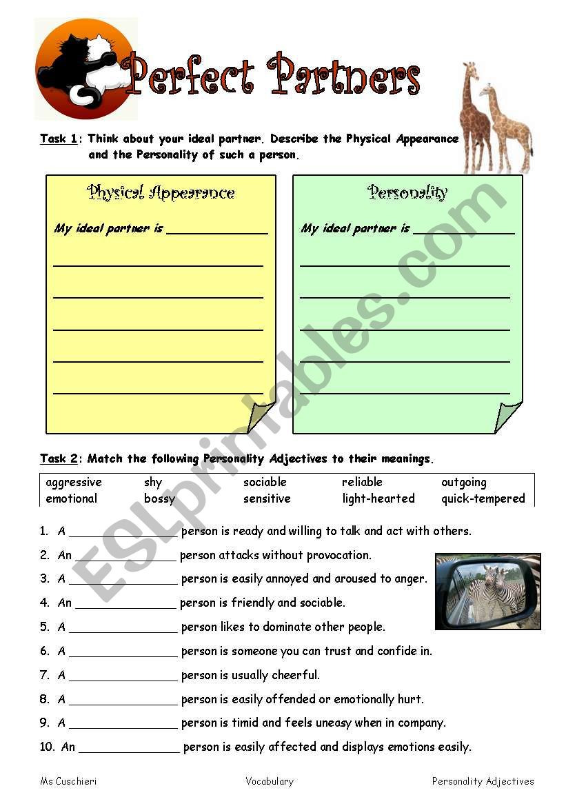 Perfect Partners worksheet