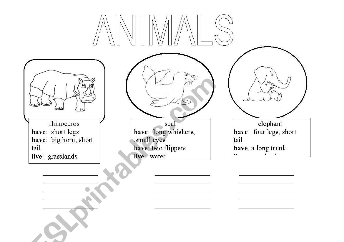 Animals  worksheet