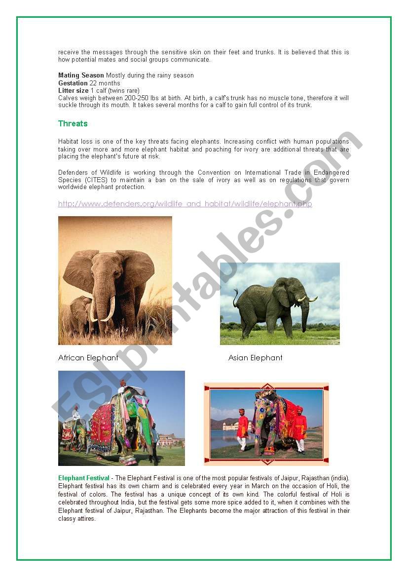 Elephant ( part 2 ) worksheet