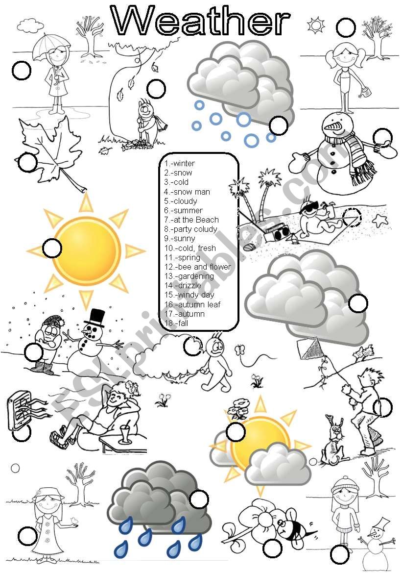 Weather worksheet