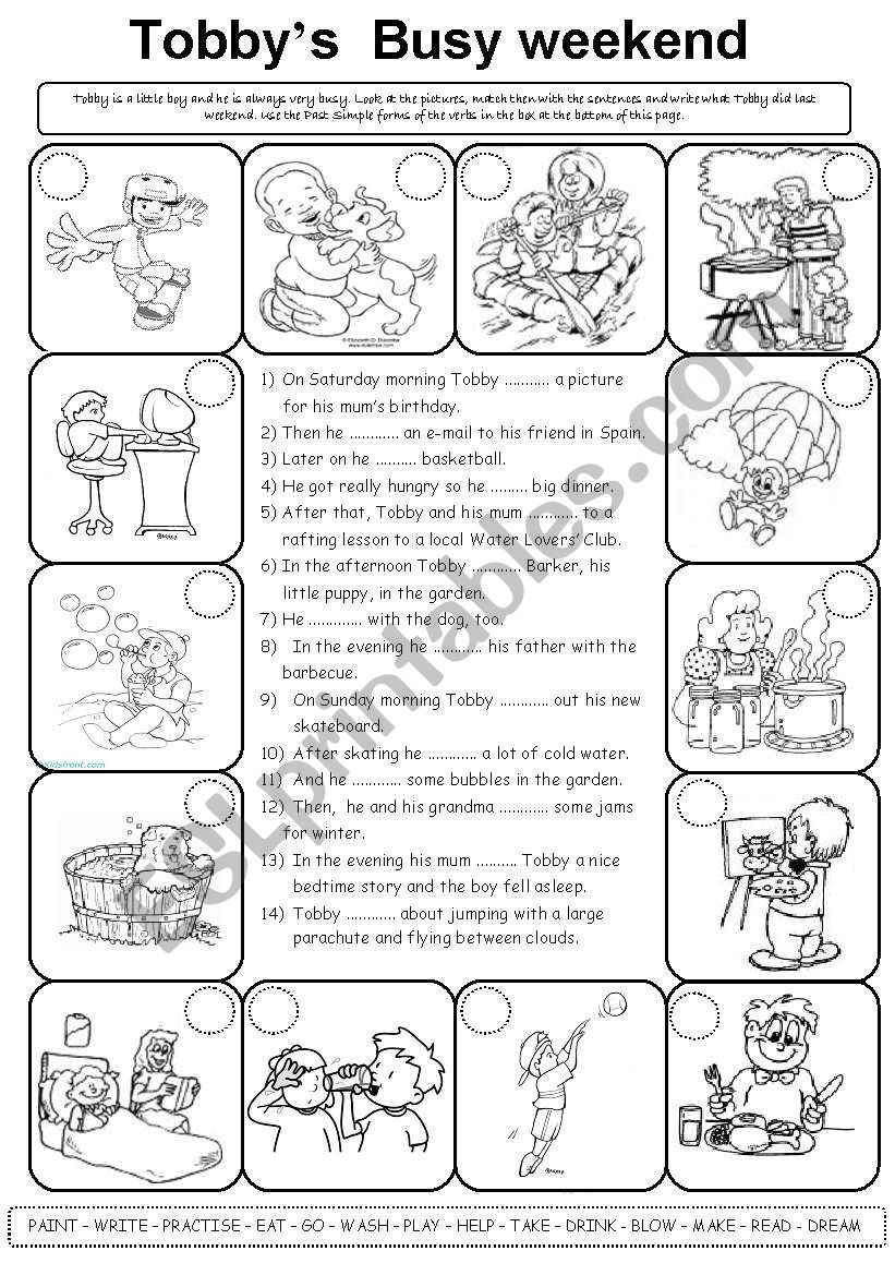 Tobbys busy weekend - Past Simple regular and irregular