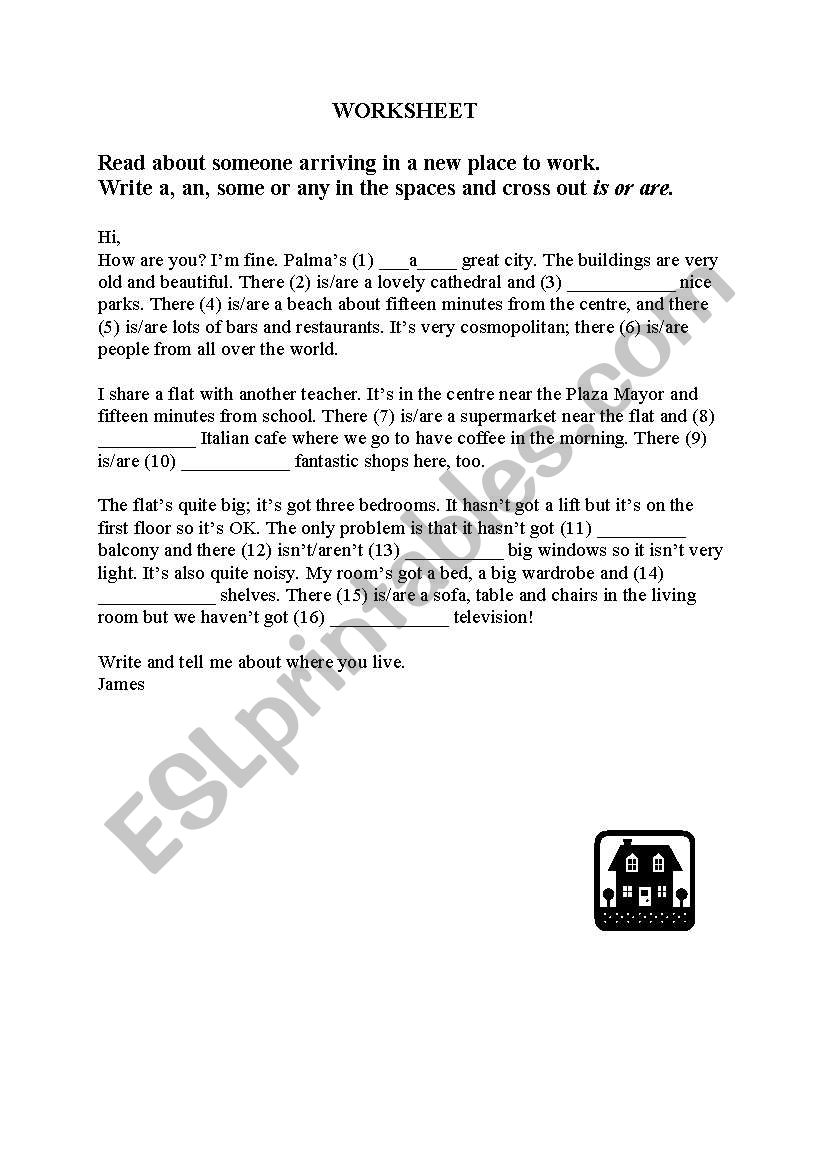 exercise for a,an,some,any worksheet