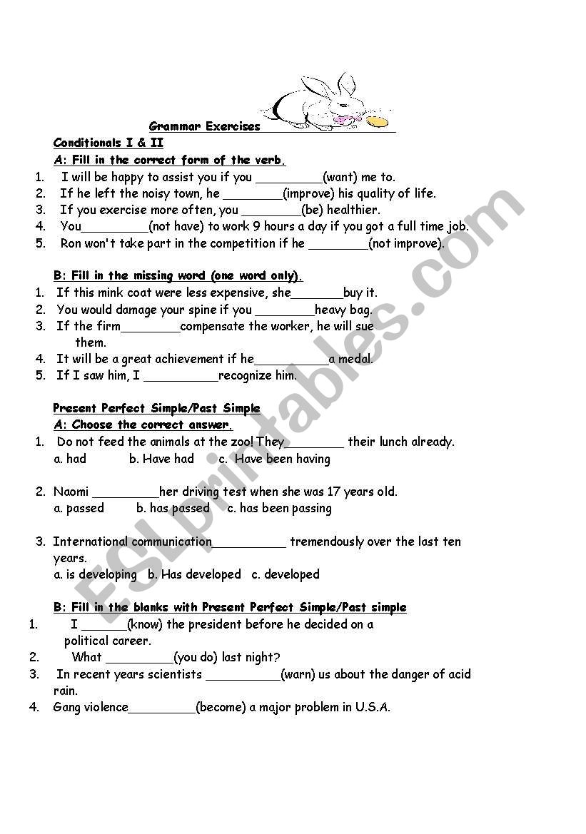 Grammar Review -Condition 1, 2 + Tenses